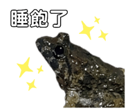 657362527
