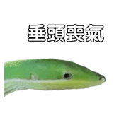 657362529