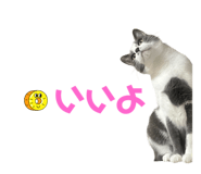 657362631