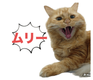 657362640