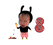 657378260