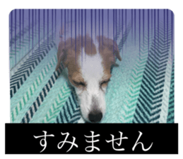 657413236