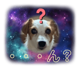 657413252
