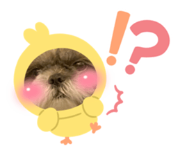 657425468