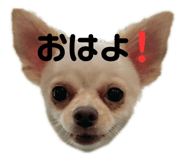 657427855