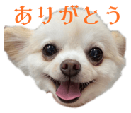 657427856