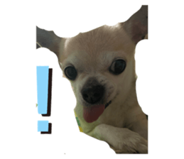657432032