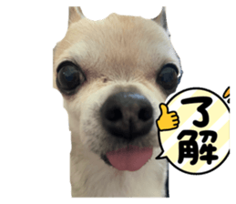 657432037