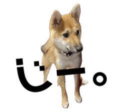 657433481