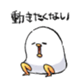 657437986