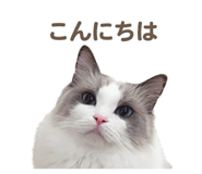 657438822
