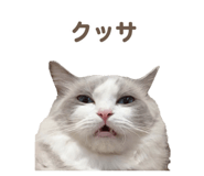 657438823