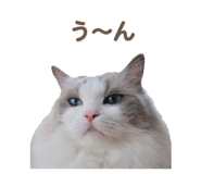 657438824