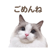 657438825