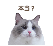 657438827