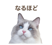 657438829