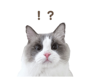 657438830