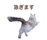 657438831