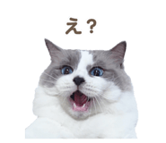 657438835