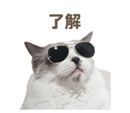 657438837