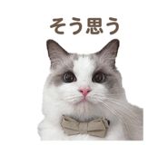 657438839