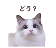 657438840