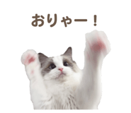 657438841