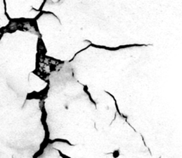 657440200