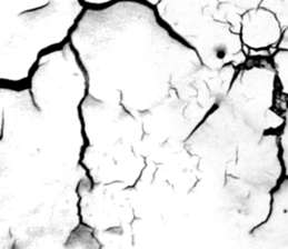 657440202