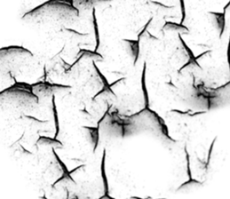 657440206