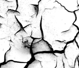 657440207