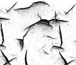 657440209
