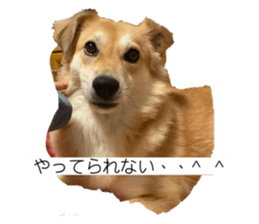 657456355