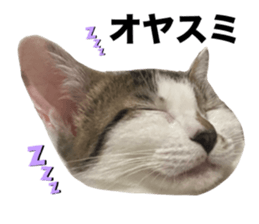 657456455