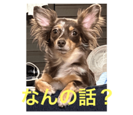 657465343