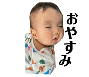 657477239