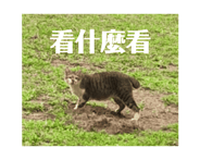 657534470