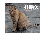 657534474