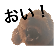 657547968