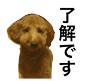 657547977