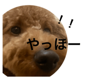 657547979