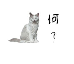 657553185