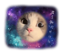 657553186