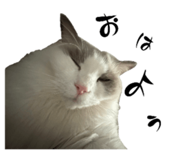 657553188