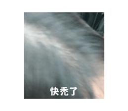 657554754