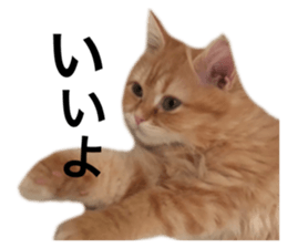 657560647