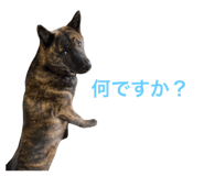 657571048
