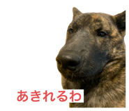 657571055