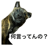 657571058