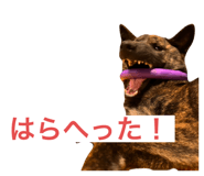 657571059